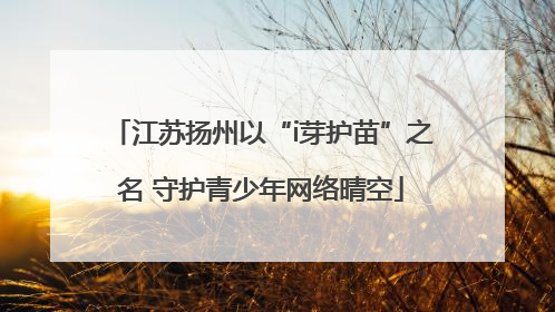 江苏扬州以“i芽护苗”之名 守护青少年网络晴空
