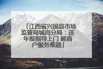 江西省兴国县市场监管局城岗分局：送年报指导上门 解商户服务难题