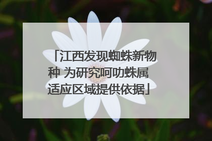 江西发现蜘蛛新物种 为研究呵叻蛛属适应区域提供依据