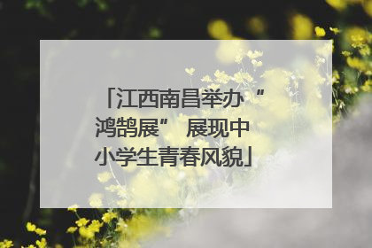 江西南昌举办“鸿鹄展” 展现中小学生青春风貌
