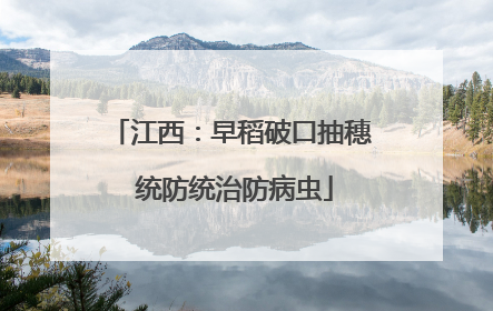 江西：早稻破口抽穗 统防统治防病虫