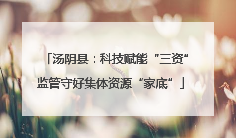 汤阴县：科技赋能“三资”监管守好集体资源“家底”