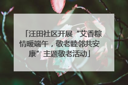 汪田社区开展“艾香粽情暖端午，敬老睦邻共安康”主题敬老活动