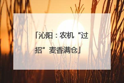沁阳：农机“过招”麦香满仓