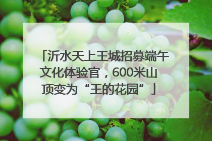 沂水天上王城招募端午文化体验官，600米山顶变为“王的花园”