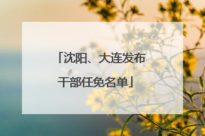 沈阳、大连发布干部任免名单