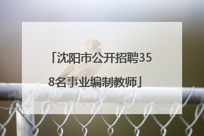 沈阳市公开招聘358名事业编制教师