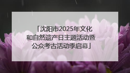 沈阳市2025年文化和自然遗产日主题活动暨公众考古活动季启幕