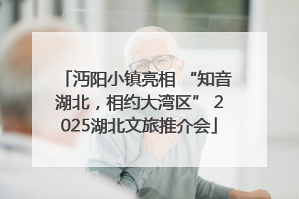 沔阳小镇亮相 “知音湖北，相约大湾区” 2025湖北文旅推介会