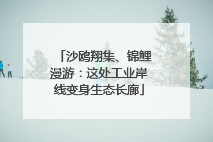 沙鸥翔集、锦鲤漫游：这处工业岸线变身生态长廊