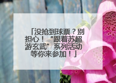 没抢到球票？别担心！“跟着苏超游玄武”系列活动等你来参加！