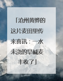 沧州黄骅的这片麦田里传来喜讯：一水未浇的旱碱麦丰收了