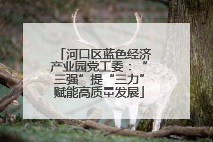 河口区蓝色经济产业园党工委：“三强”提“三力”赋能高质量发展