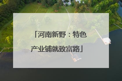 河南新野：特色产业铺就致富路