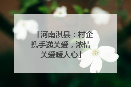 河南淇县：村企携手递关爱，浓情关爱暖人心