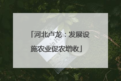 河北卢龙：发展设施农业促农增收