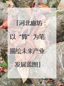 河北廊坊：以“算”为笔描绘未来产业发展蓝图