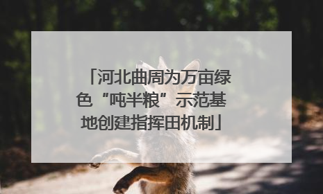河北曲周为万亩绿色“吨半粮”示范基地创建指挥田机制