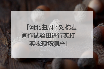 河北曲周：对棉麦间作试验田进行实打实收现场测产
