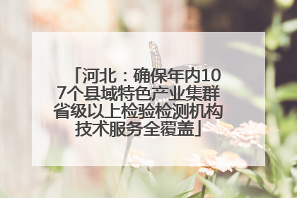 河北：确保年内107个县域特色产业集群省级以上检验检测机构技术服务全覆盖