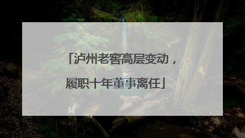 泸州老窖高层变动，履职十年董事离任