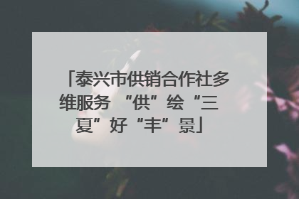 泰兴市供销合作社多维服务 “供”绘“三夏”好“丰”景