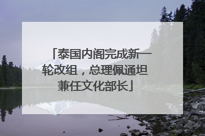 泰国内阁完成新一轮改组，总理佩通坦兼任文化部长