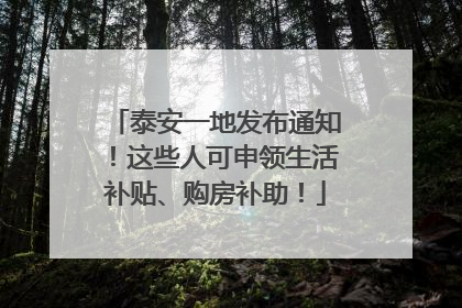 泰安一地发布通知！这些人可申领生活补贴、购房补助！