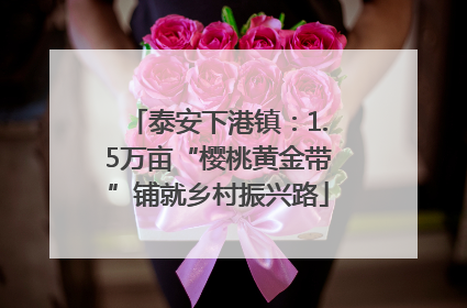 泰安下港镇：1.5万亩“樱桃黄金带”铺就乡村振兴路