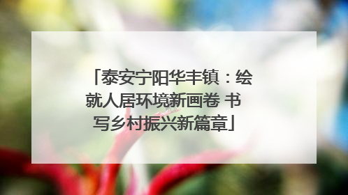 泰安宁阳华丰镇：绘就人居环境新画卷 书写乡村振兴新篇章