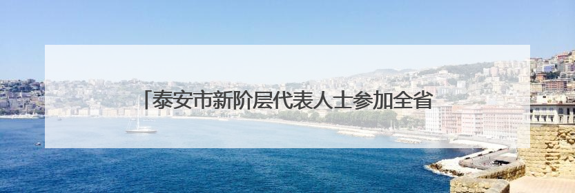 泰安市新阶层代表人士参加全省新的社会阶层代表人士培训班