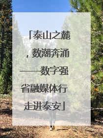 泰山之麓，数潮奔涌——数字强省融媒体行走进泰安