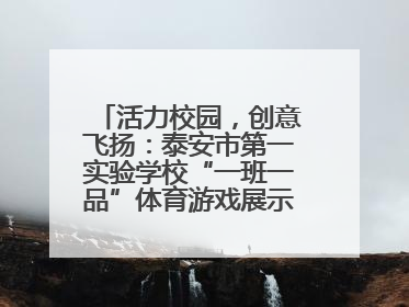 活力校园，创意飞扬：泰安市第一实验学校“一班一品”体育游戏展示精彩纷呈