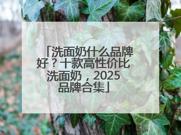 洗面奶什么品牌好？十款高性价比洗面奶，2025品牌合集
