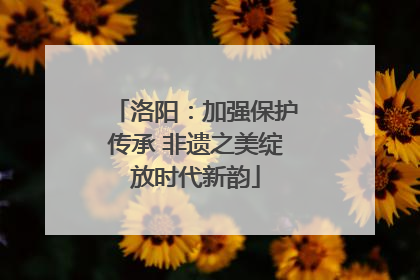 洛阳：加强保护传承 非遗之美绽放时代新韵