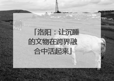 洛阳：让沉睡的文物在跨界融合中活起来