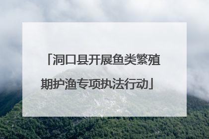 洞口县开展鱼类繁殖期护渔专项执法行动