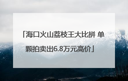 海口火山荔枝王大比拼 单颗拍卖出6.8万元高价