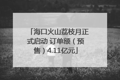 海口火山荔枝月正式启动 订单额（预售）4.11亿元
