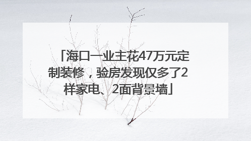 海口一业主花47万元定制装修，验房发现仅多了2样家电、2面背景墙