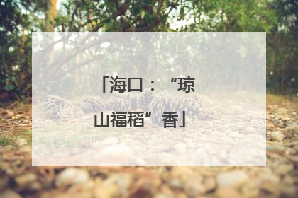 海口：“琼山福稻”香