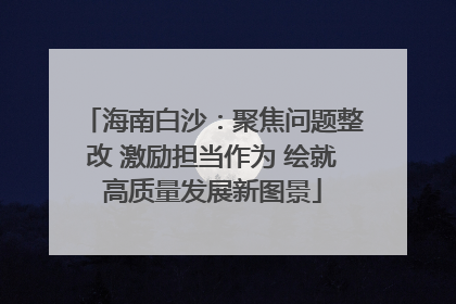 海南白沙：聚焦问题整改 激励担当作为 绘就高质量发展新图景