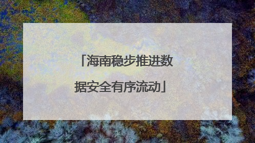 海南稳步推进数据安全有序流动