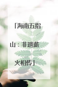 海南五指山：非遗薪火相传