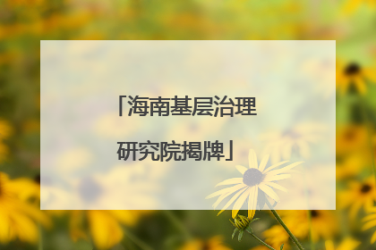 海南基层治理研究院揭牌