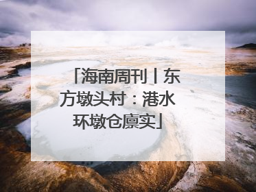 海南周刊丨东方墩头村：港水环墩仓廪实
