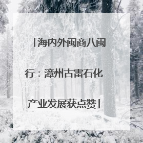 海内外闽商八闽行：漳州古雷石化产业发展获点赞