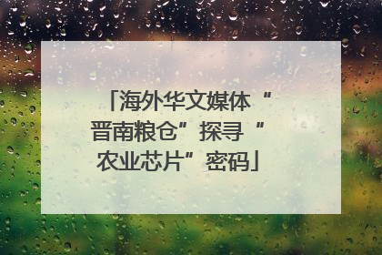 海外华文媒体“晋南粮仓”探寻“农业芯片”密码