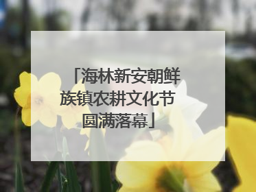 海林新安朝鲜族镇农耕文化节圆满落幕