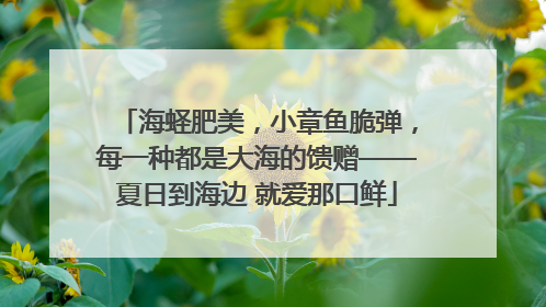 海蛏肥美，小章鱼脆弹，每一种都是大海的馈赠——夏日到海边 就爱那口鲜